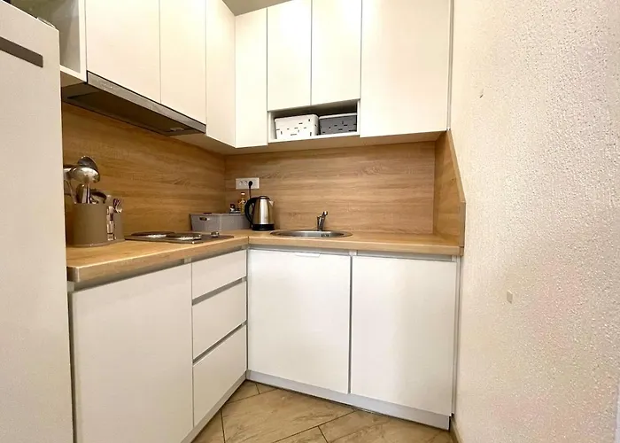 Engadin's 1bdr In Center Apartment *