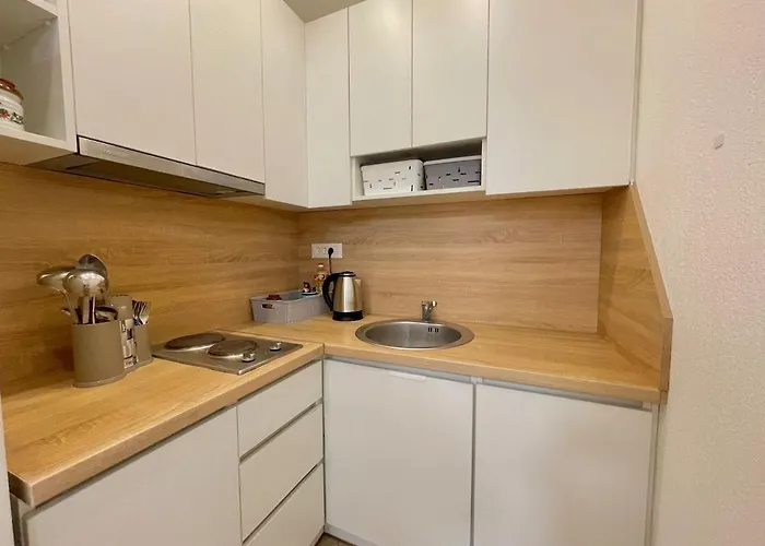 Apartment Engadin's 1bdr In Center *